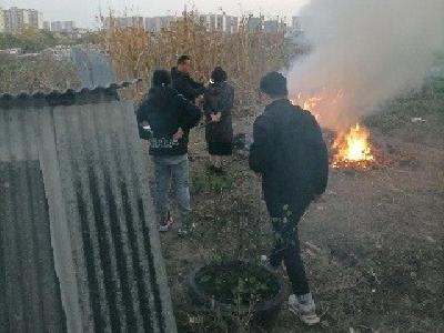 刘家嘴村织密秸秆焚烧防控网