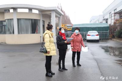 “313”企业服务吸引一批优质项目落户陆城