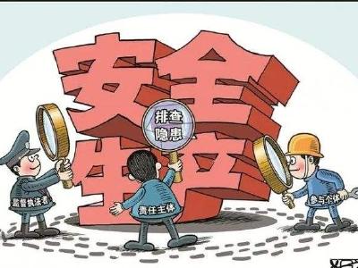 【网络中国节•春节】市安办为“停不得”企业启动“安全护航”