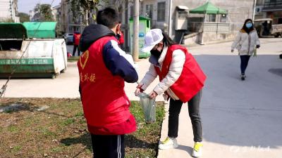 【文明宜都】烟头换鸡蛋 换出城市大文明