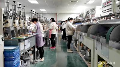 【争做“领头雁” 当好“排头兵”•奋力开门红】 龙昌光学：抢订单 忙生产 冲刺新春“开门红”