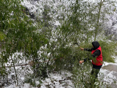 红花套镇：人大代表扫雪除障保畅通