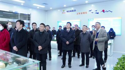 枝江市党政代表团来我市考察