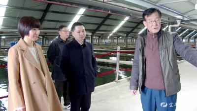 宋城演艺发展股份有限公司总裁商玲霞来宜都考察
