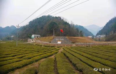 【湖北日报】宜都望市佛桥村：多举措打造美丽乡村