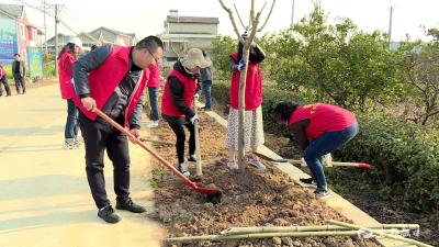 【新时代文明实践在行动】姚家店：植树增绿助乡村振兴