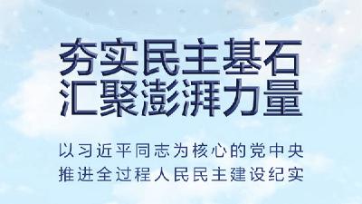 夯实民主基石 汇聚澎湃力量——以习近平同志为核心的党中央推进全过程人民民主建设纪实