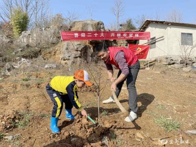 【喜迎二十大 共植青年林】大手牵小手 共植希望林