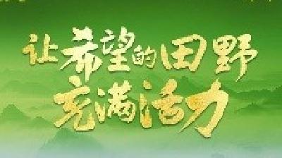 让希望的田野充满活力——从全国两会看乡村振兴发力点