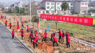 “四个坚持”推进国土绿化行动 激活宜都“绿动力”