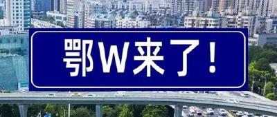 官宣！4月26日起，武汉市启用鄂W号牌