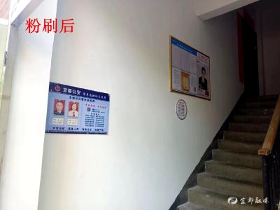 【共建美丽家园】“大花脸”变“小清新”！“楼道革命”让小区“有里有面”
