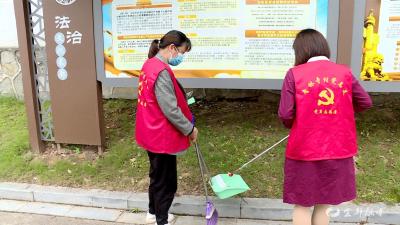 高坝洲镇：人大代表助力青林休闲旅游区4A级景区创建