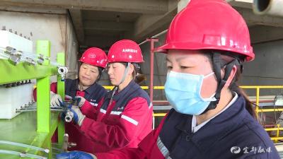 【金牌工人】王祖莲：愿做一颗螺丝 与企业共成长