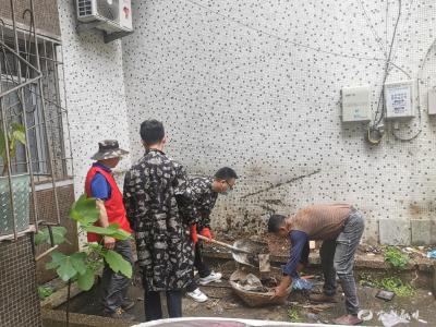 【共建美丽家园】市供销社：“回头看”让楼道“美颜”常态化