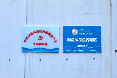 高坝洲镇首个功能型党支部成立