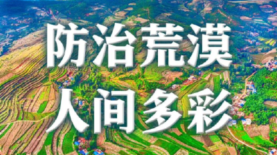 你一定，不想这样！