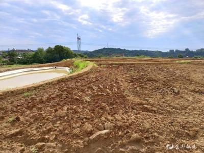 徐家湾村40余亩旱地变良田