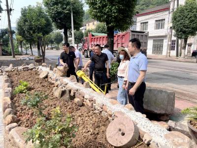 “清违”在行动 | 松木坪镇：拉练评比检成果