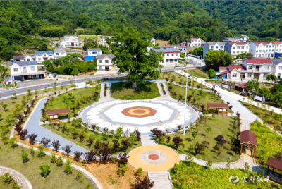 古树公园新地标 人居环境焕新颜
