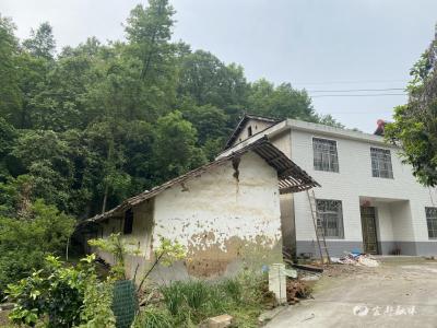 “清违”在行动｜清“危”为安解心患