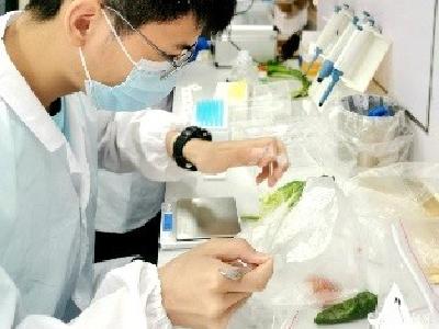 免费快检进市场  守护“菜篮子”安全