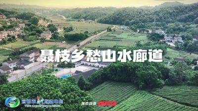 宜都农村公路“三轴十环”之聂枝乡愁山水廊道