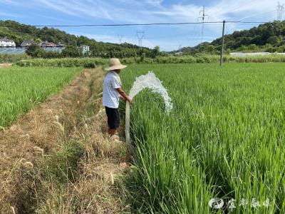 市水利和湖泊局“三管齐下”打响抗旱保收“保卫战”
