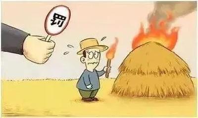 “秸”尽全力 守牢秸秆禁烧防线