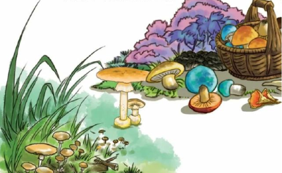 山娃夏天的秘密