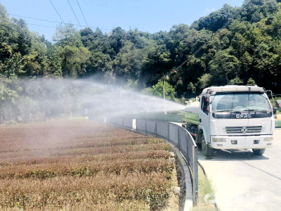 大沟村：多措并举抗干旱  全力以赴保民生