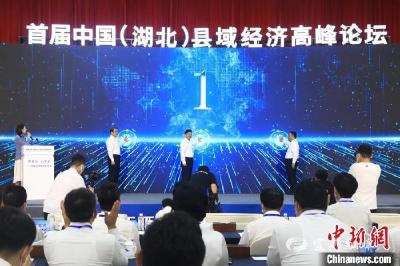 首届中国（湖北）县域经济高峰论坛举行
