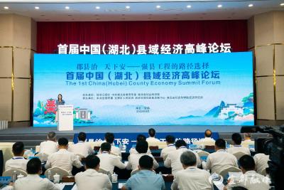 出席“首届中国（湖北）县域经济高峰论坛”专家学者为湖北县域经济把脉问诊
