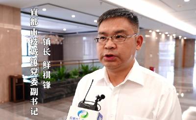 冲刺三季度 决战下半年！枝城镇:凝心聚力共奋进 务实重行显担当