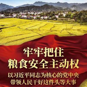 牢牢把住粮食安全主动权——以习近平同志为核心的党中央带领人民干好这件头等大事