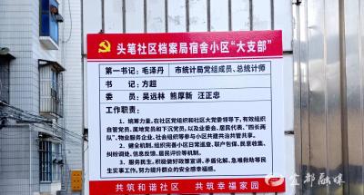 “小”支部“大”力量