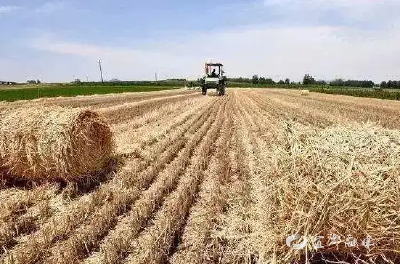 宜都“五化”综合利用 让15万余吨农作物秸秆“秸”尽所能 