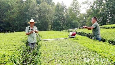 王登喜家庭：勤劳致富 诚信助人