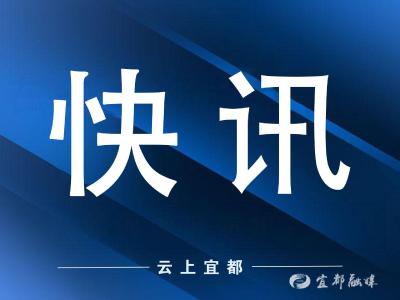 【快讯】夏明海调研督导枝城镇全面从严治党主体责任落实情况