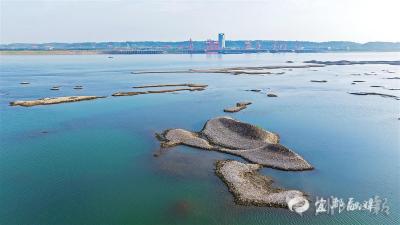 【湖北日报客户端】宜都长江大石坝提前五个月露出江面