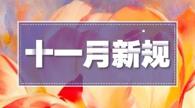 11月1日起，这些新规施行