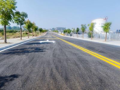便民利企！红花套镇这条道路实现通车