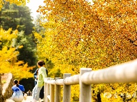 宜都秋景美如画