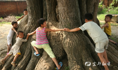 孩童幽默与趣味生态