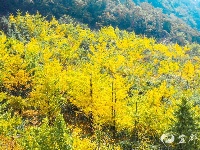 宜都秋景美如画