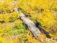 宜都秋景美如画