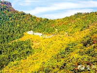 宜都秋景美如画