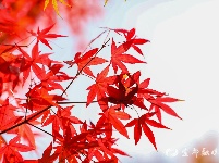 宜都秋景美如画