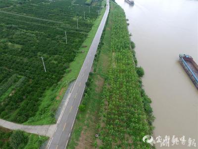 【湖北日报】27年没有大的森林火灾 林业产业总产值达549亿元 宜昌绿水青山成金山银山