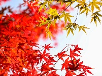 宜都秋景美如画